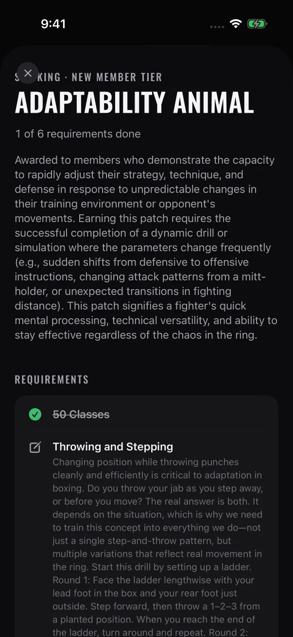 This sample member hasn't started the patch, but its class row is already done because every class requirement reads the same count.