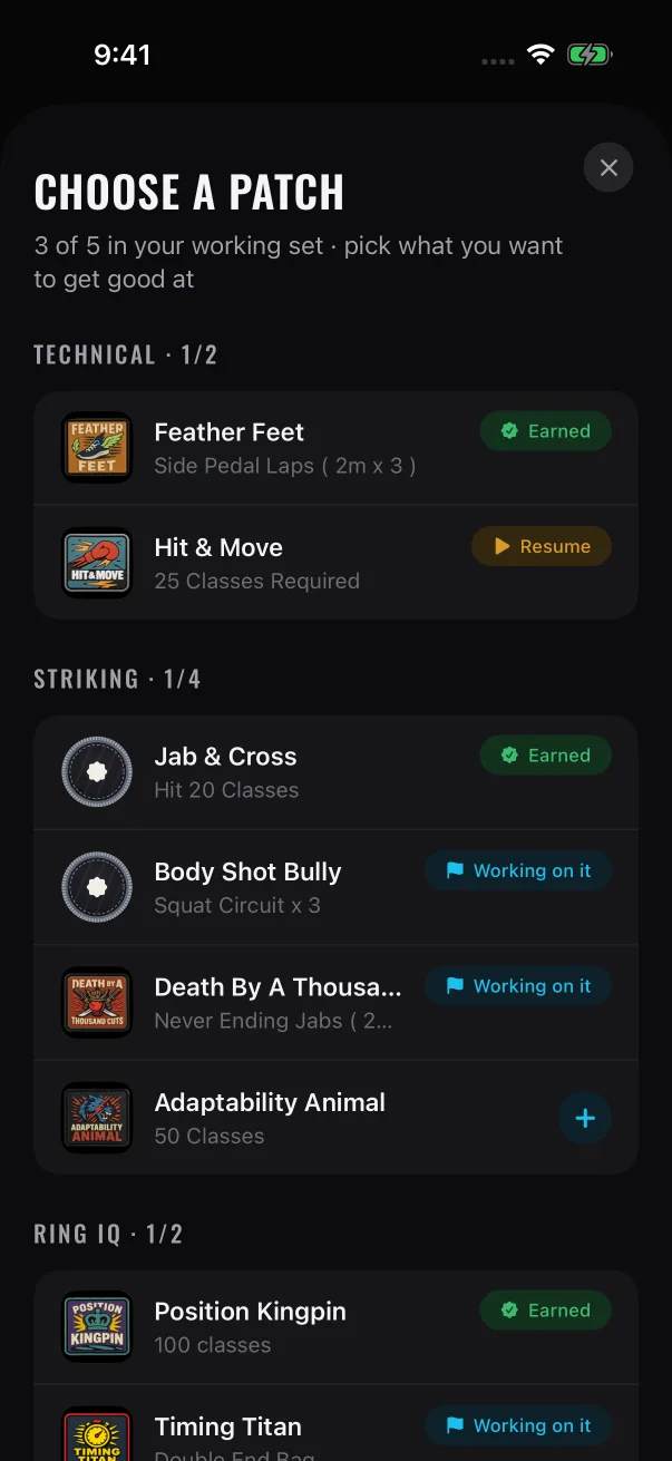 Choose a patch shows how many slots are in use and whether each patch is earned, active, paused or free to start.
